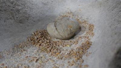 Прикрепленное изображение: 2.jpg